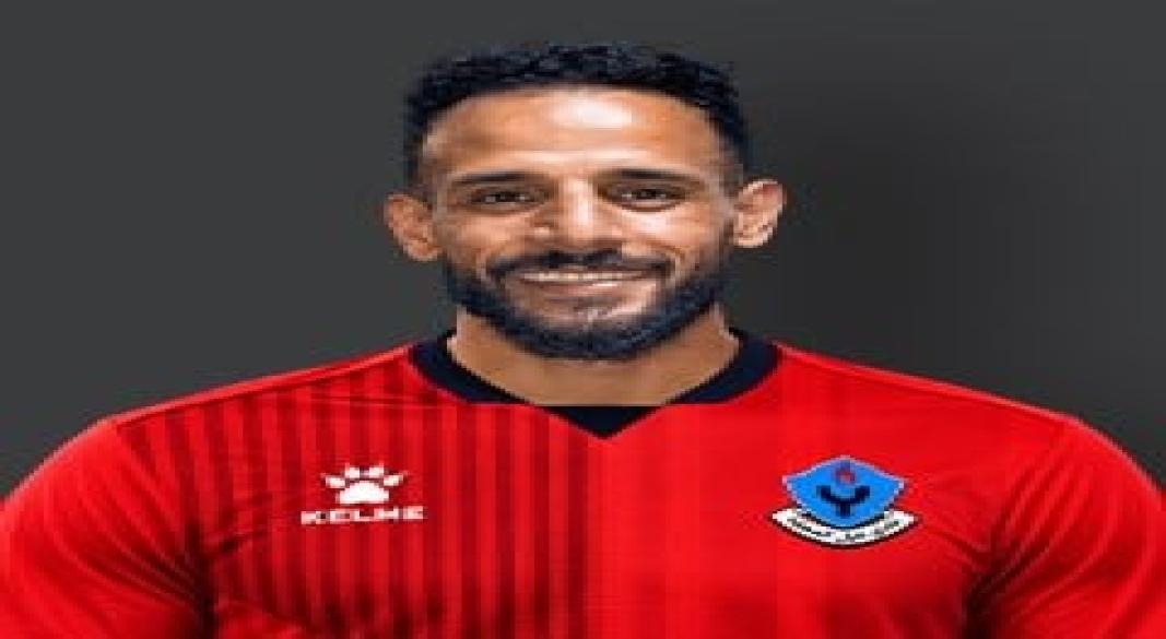 احمد حمزاوى