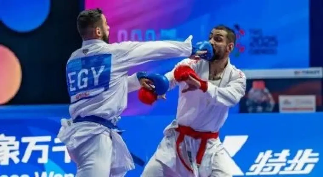 الكارتية