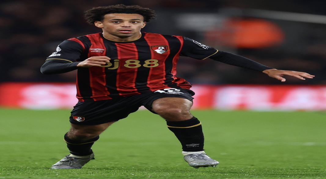 تايلر أدامز